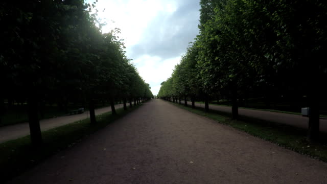 Alley-en-el-parque-en-Peterhof