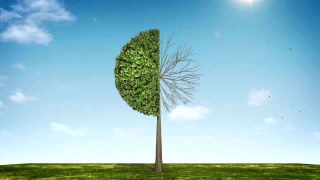 Haga-crecer-el-gráfico-circular-de-forma-de-árbol.-indicaba-el-50-por-ciento.-icono-verde.