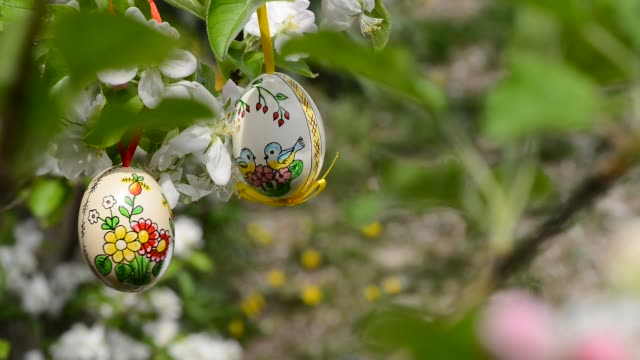 Easter-eggs-hanging-on-the-twig-of-apple-tree-in-the-garden.Rack-focus.