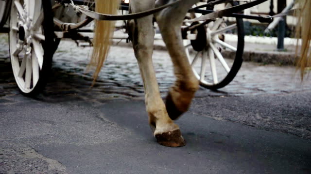 White-coach-is-riding-down-the-street.-Wedding.-The-road-from-the-pavers-Wheels-and-hooves-of-horses