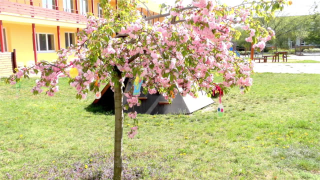Easter-Tree-In-the-Garden---Modern-Public-Building-Kindergarten---Preschool