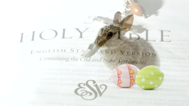 Easter-bunny,-eggs,-and-bible