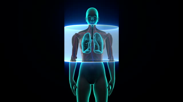 Scanning-body.-Rotating-Female--lungs,-Pulmonary-Diagnostics.-X-ray-image.