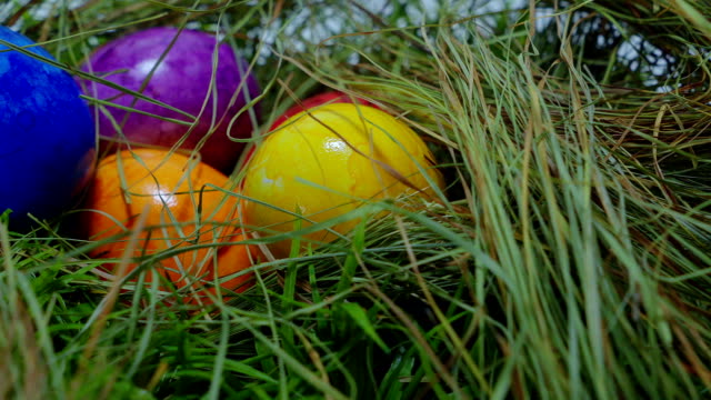 Deslizamiento-sobre-un-nido-con-huevos-de-Pascua---cierre-toma
