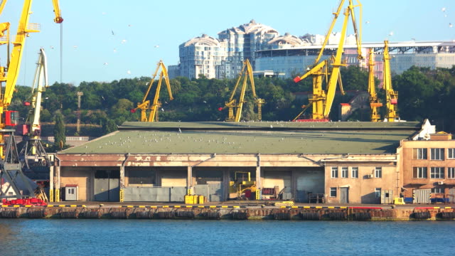 Seaport-warehouse-and-yellow-cranes.