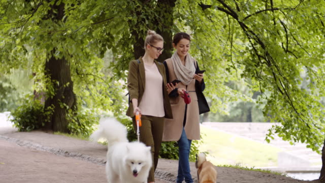 Mujeres-dueños-de-perros-usando-gadgets-al-aire-libre