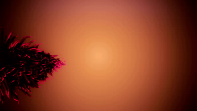 Wonderful-video-animation-with-particles-tree