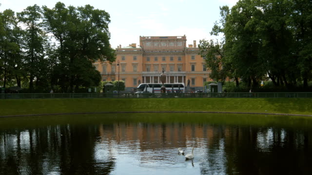 Cisnes-en-el-lago-en-el-jardín-de-verano-y-la-fortaleza-de-Mikhailovsky---St-Petersburg,-Rusia