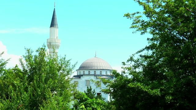 Die-Moschee-ist-von-Bäumen-umgeben.