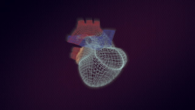 Modelo-3d-del-corazón-humano-en-el-monitor-dando-la-vuelta,-con-construcciones-visuales-y-latidos.