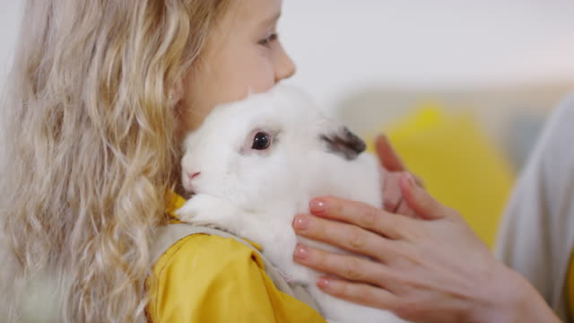 Girl-with-Cute-Bunny