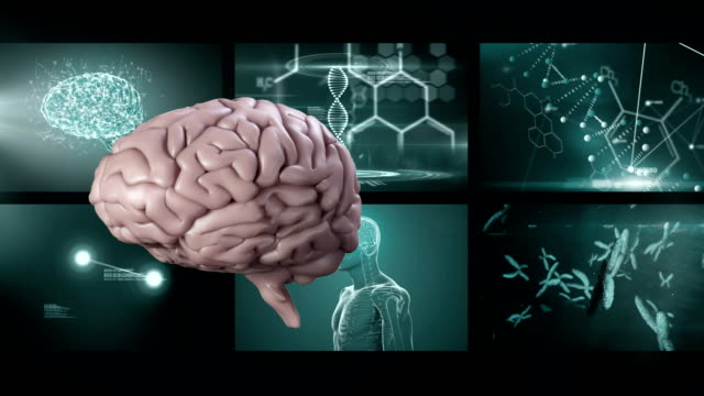 Animation-des-3D-drehenden-Gehirns-mit-Wissenschaftler-Bildschirmen