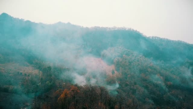 Smog-von-Waldbränden.-Entwaldung-und-Klimakrise.-Giftiger-Dunst-durch-Regenwaldbrände.-Luftvideo-4k