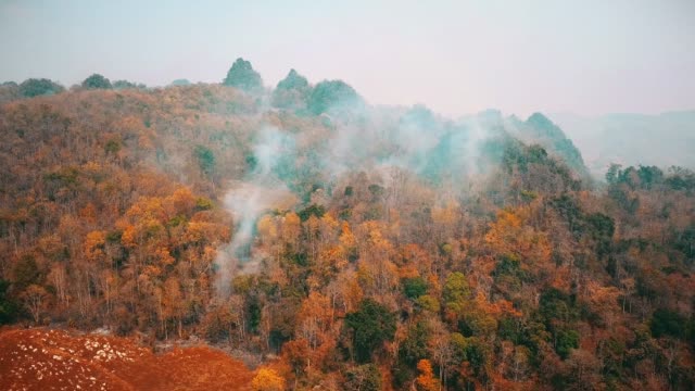 Smog-von-Buschfeuer.-Entwaldung-und-Klimakrise.-Giftiger-Dunst-durch-Regenwaldbrände.-Luftvideo-4k