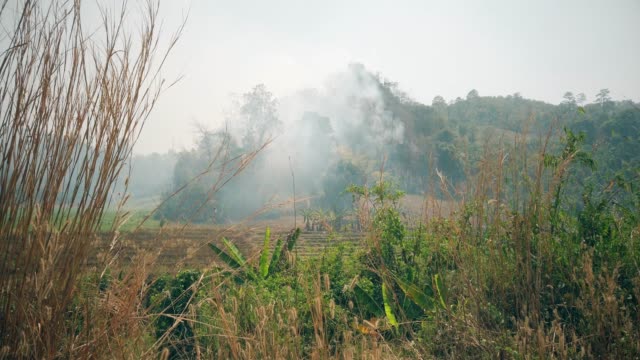 Burning-fields-on-countryside-.-Farm-and-ecosystems-crisis.-Toxic-haze-from-dry-grassland-fire.-Aerial-video-4k