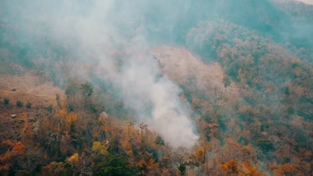 Smog-von-Buschfeuer.-Entwaldung-und-Klimakrise.-Giftiger-Dunst-durch-Regenwaldbrände.-Luftvideo-4k