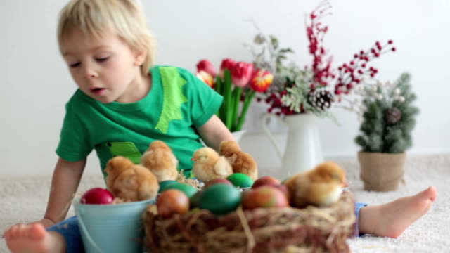 Cute-sweet-little-blond-child,-toddler-boy,-playing-with-little-chicks-at-home,-baby-chicks-in-child-hands