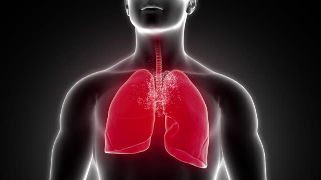 High-quality-footage-of-a-human-lung-has-been-recovered