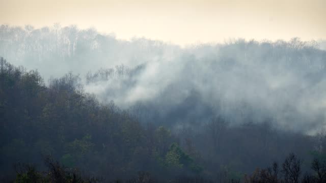 El-desastre-por-incendios-forestales-está-ardiendo-por