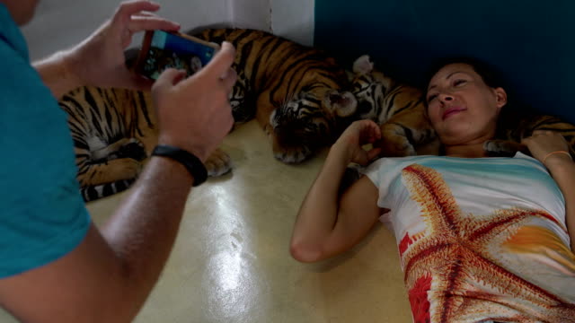 Woman-lies-with-the-tiger-Cubs.-Man-takes-pictures-on-the-phone