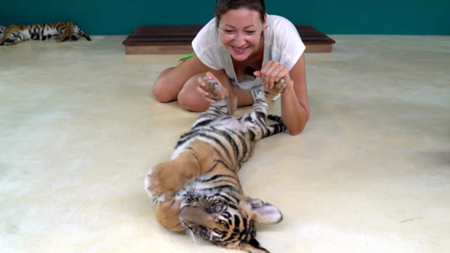 Mujer-juega-con-un-tigre-pequeño,-sostiene-para-patas