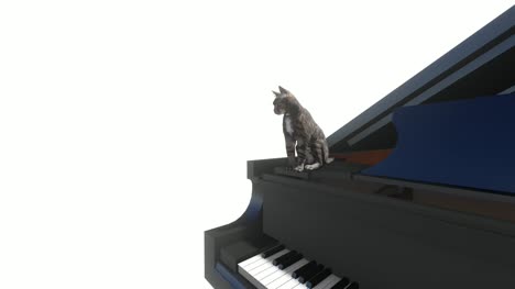 Cat-washes-sitting-on-the-piano-on-white