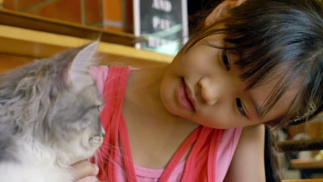 Asian-child-playing-her-kitten-in-cat-cafe