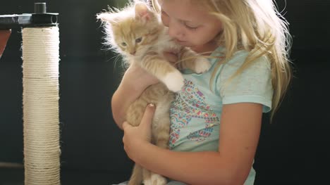 A-little-girl-pulls-a-kitten-out-of-its-house-and-gives-it-a-hug