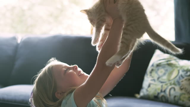 Ein-kleines-Mädchen-halten-Katze-bis-über-ihren-Kopf-und-dann-gibt-es-eine-Umarmung