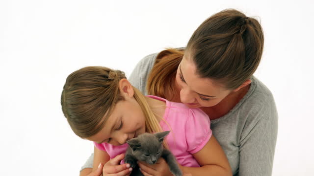 Süße-Mutter-und-Tochter-mit-einem-kleinen-grauen-Kätzchen