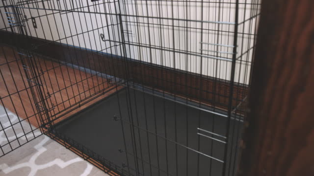 A-Large-Empty-Pet-Kennel-in-a-Home