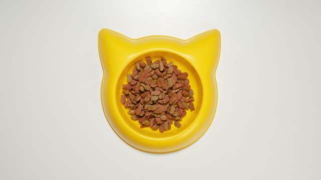DRAUFSICHT:-Katze-Essen-füllen-eine-gelbe-Schale-(Stop-Motion)