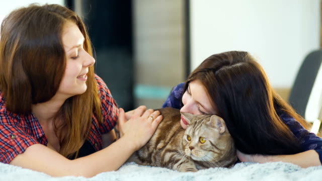 Two-happy-women-friends-lying-in-bed-hug-fat-angry-cat-and-have-fun-on-bed