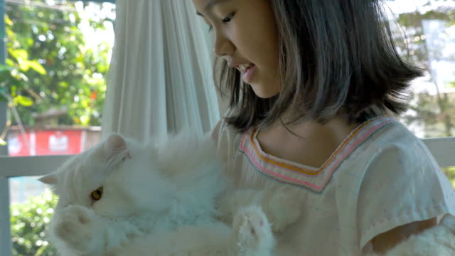 4K-:-Lovely-Asian-girl-plays-with-her-Persian-cat