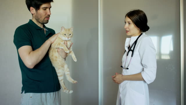 Hombre-dueño-de-gato-que-habla-con-la-mujer-de-veterinario-en-veterinario-oficina