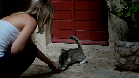 Cat-and-her-kitty-lay-on-the-street-near-the-home-with-red-door