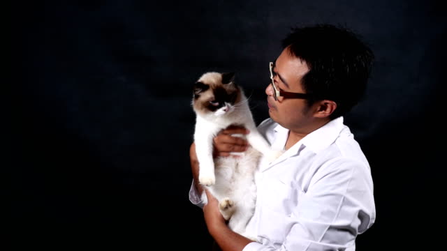 männliche-Tierarzt-tragen-und-eine-Katze-mit-Sorgfalt-zu-spielen.