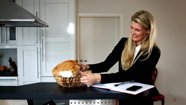 Business-Frau-spielt-mit-einer-Katze-in-einem-Korb
