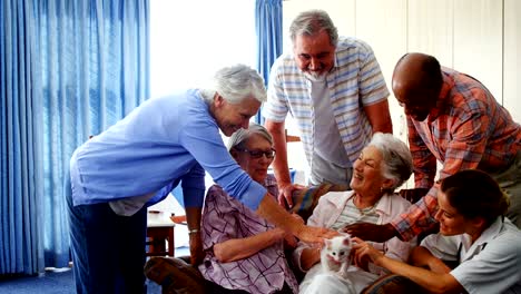 Senioren-Freunde-und-Ärztin-streichelnde-Kätzchen-bei-der-Pensionierung-home-4k