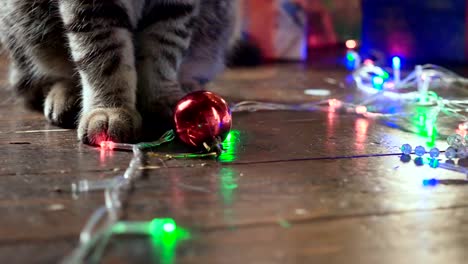 Cat-near-the-Christmas-tree-and-gifts