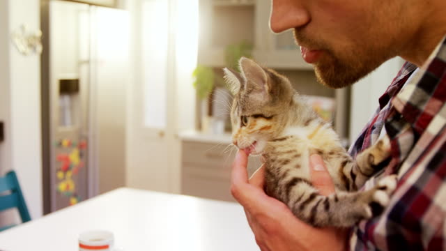 Smiling-young-man-playing-with-his-pet-cat-in-the-kitchen-4K-4k