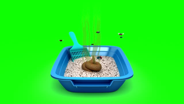 Poop-in-Cat-Katzenklo.-3D-Animation.-Green-Screen,-Endlos-wiederholbar.