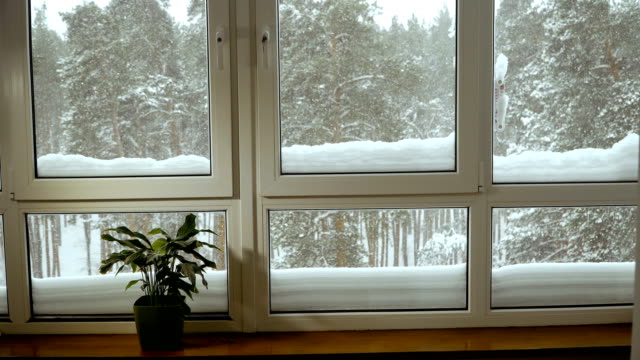 Fenster.-Fenster-mit-Blick-auf-den-tief-verschneiten-Wald