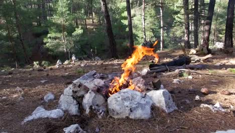 Mann-bereitet-Feuer-auf-der-grünen-Wiese-zum-Campen