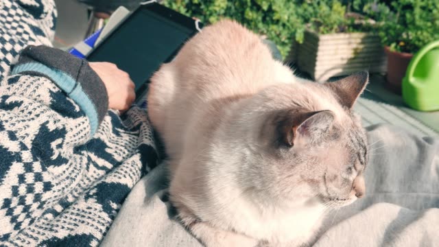 Mujer-leyendo-ebook-con-gato-doméstico-acostado-en-las-piernas