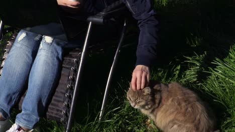Mujer-en-silla-con-gato-portátil-y-gris