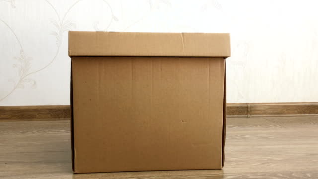 Lindo-gato-jengibre-sentado-dentro-de-una-caja-de-cartón.-Mascota-Fluffy-se-esconde-bajo-la-tapa-de-la-caja