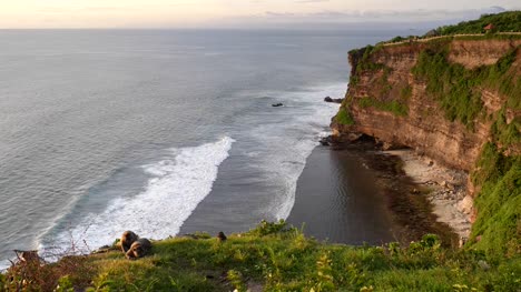 wide-shot-of-macaques-resting-on-a-cliff-edge-at-uluwatu-temple-in-bali