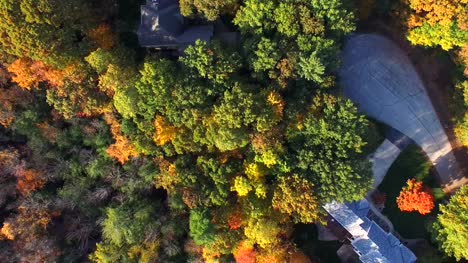 Blick-nach-unten-auf-Herbst-Farben,-Bäume,-bietet