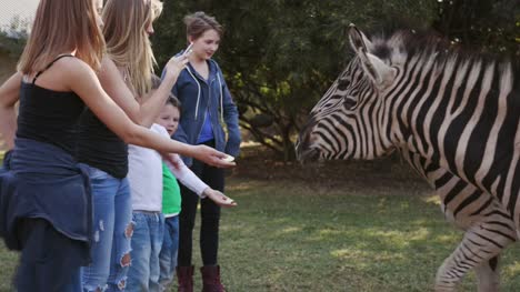 Fünf-Kinder-füttern-Zebras-in-Tierwelt-Immobilien